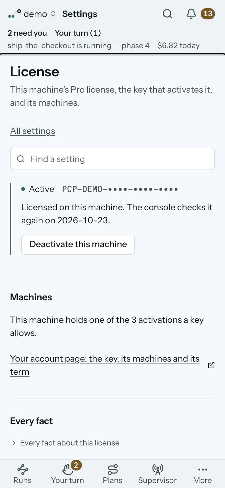 Settings ▸ License in the demo: the licence active, its masked key and this machine’s activation.